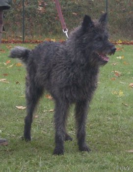  Email du Pré aux Vanneaux